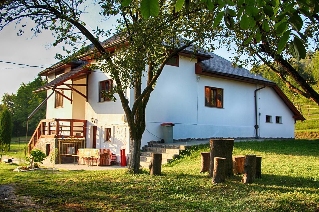 Pensiunea Nituca Moisei Exterior foto